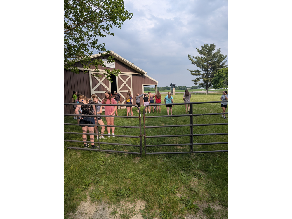 PXL_20250616_215159318.MP